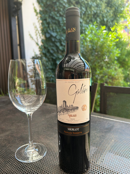 (6 Botellas 750 ml) Galán Reserva Privada - Merlot