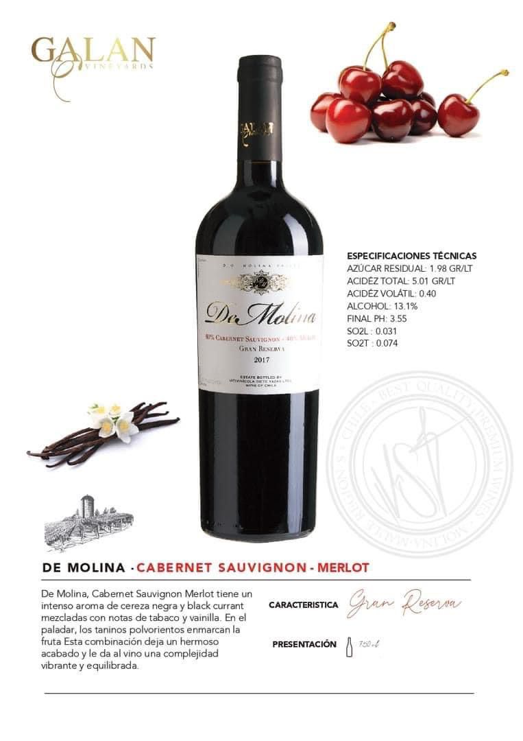 (6 botellas 750 ml) Gran Reserva De Molina Cabernet Sauvignon 60% - Merlot 40% Año 2022