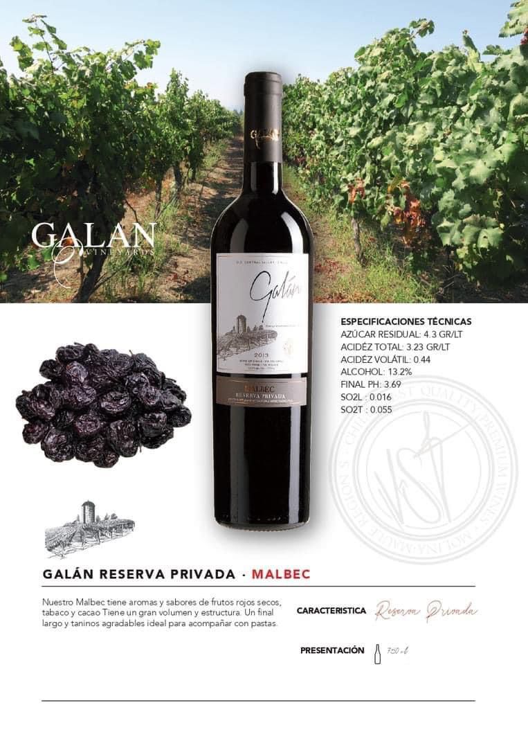(6 botellas 750 ml) Galán Reserva Privada - Malbec