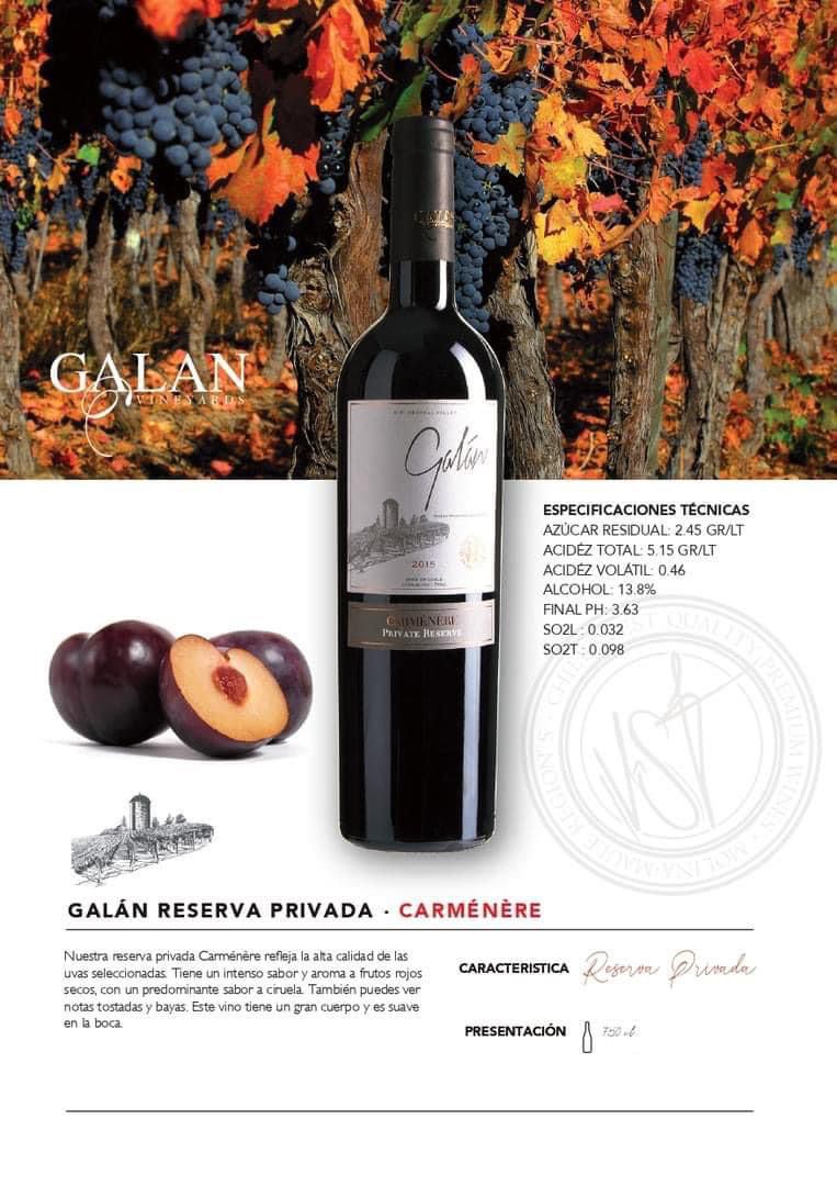 Galán Reserva Privada Carmenere - 6 botellas 750 ml