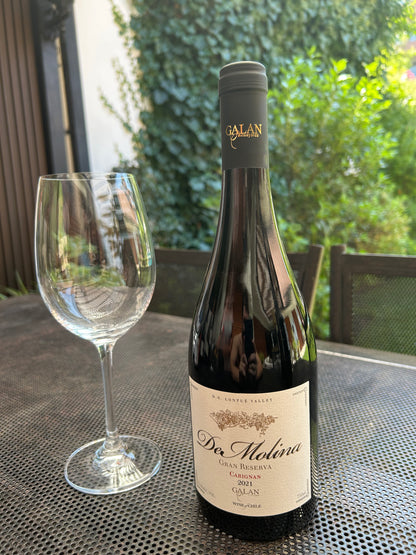 (1 Botella 750 ml) Gran Reserva De Molina - Carignan