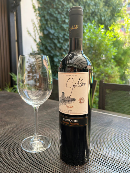 (1 Botella 750 ml) Galán Reserva Privada - Carmenere