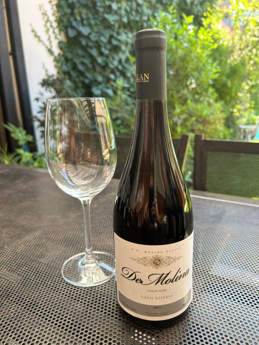 (6 botellas 750 ml) Gran Reserva De Molina - Pinot Noir